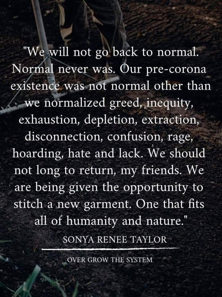 Quote by Sonya Renee Taylor — We will not go back to normal. Normal never was.